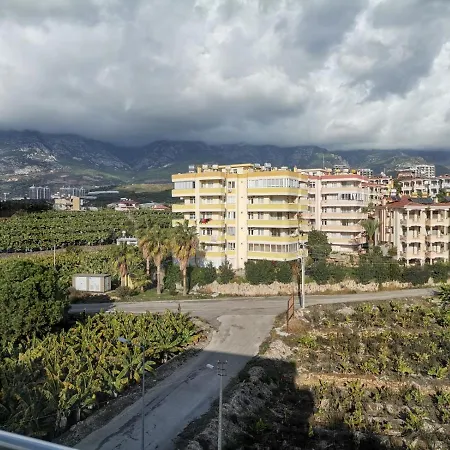 Daire Amazing Apartment Study In Mahmutlar View To Old City