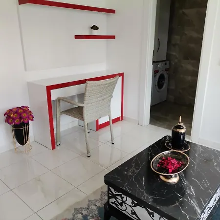 Daire Amazing Apartment Study In Mahmutlar View To Old City